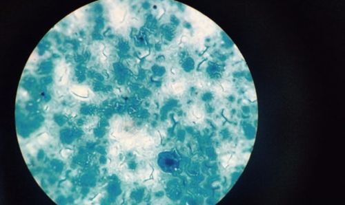 揭晓最新市场的五台黑马内衣洗衣机品牌J9国际集团小熊内衣洗衣机怎么样？(图4)