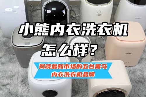 揭晓最新市场的五台黑马内衣洗衣机品牌J9国际集团小熊内衣洗衣机怎么样？(图10)